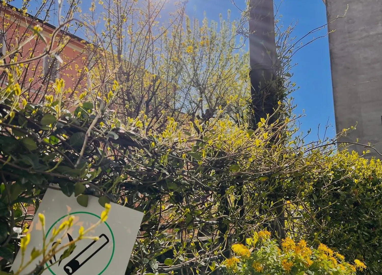 Loft Dei Lupi 260M Dal Duomo Freeparking Apartment Cremona
