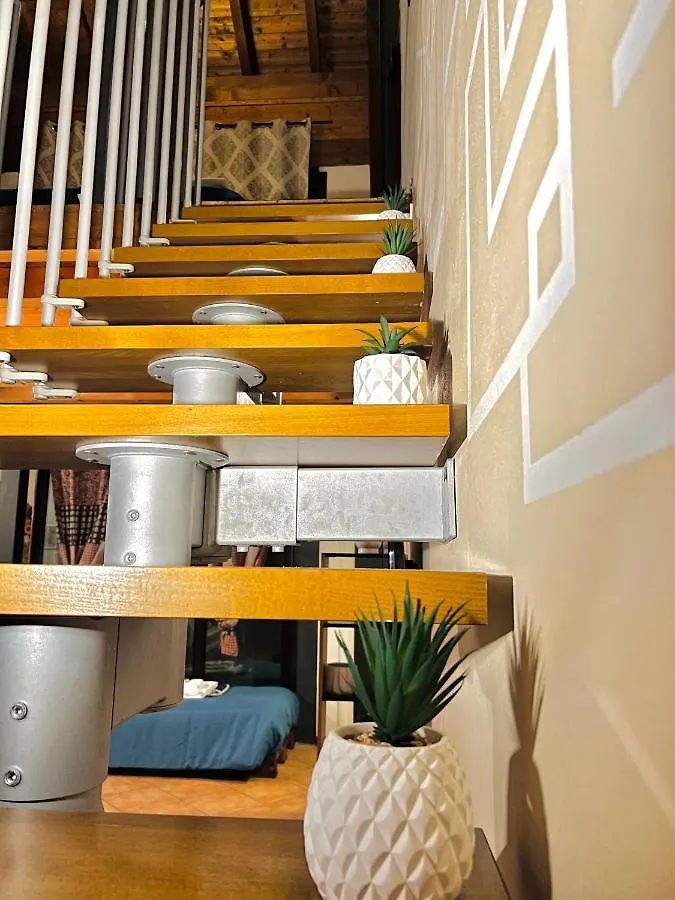 Loft Dei Lupi 260M Dal Duomo Freeparking Apartment Cremona 0*,